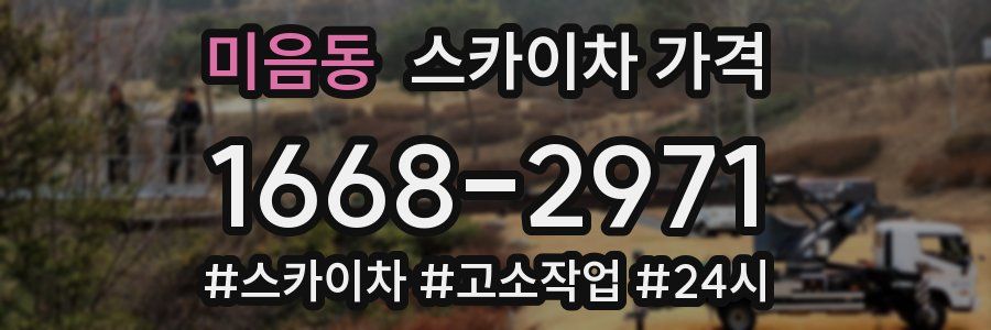 미음동 스카이차 가격