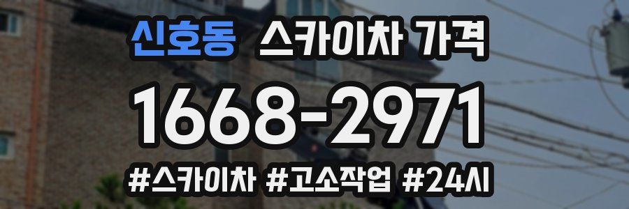 신호동 스카이차 가격