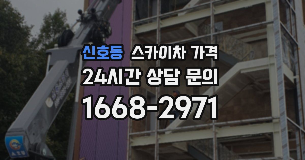 신호동 스카이차 가격