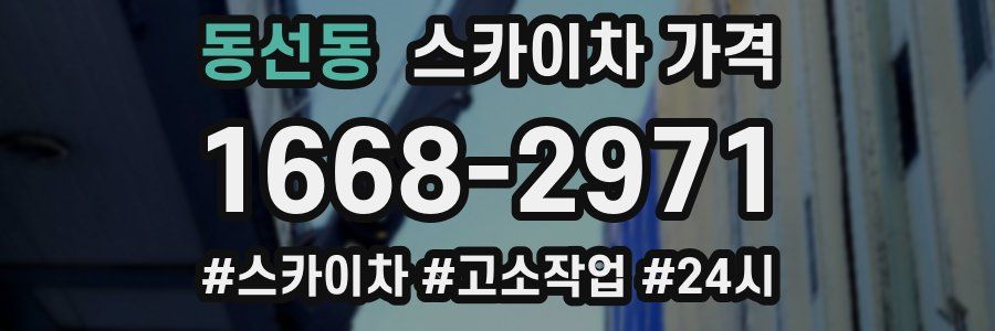동선동 스카이차 가격