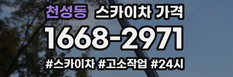 천성동 스카이차 가격