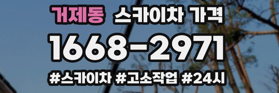 거제동 스카이차 가격