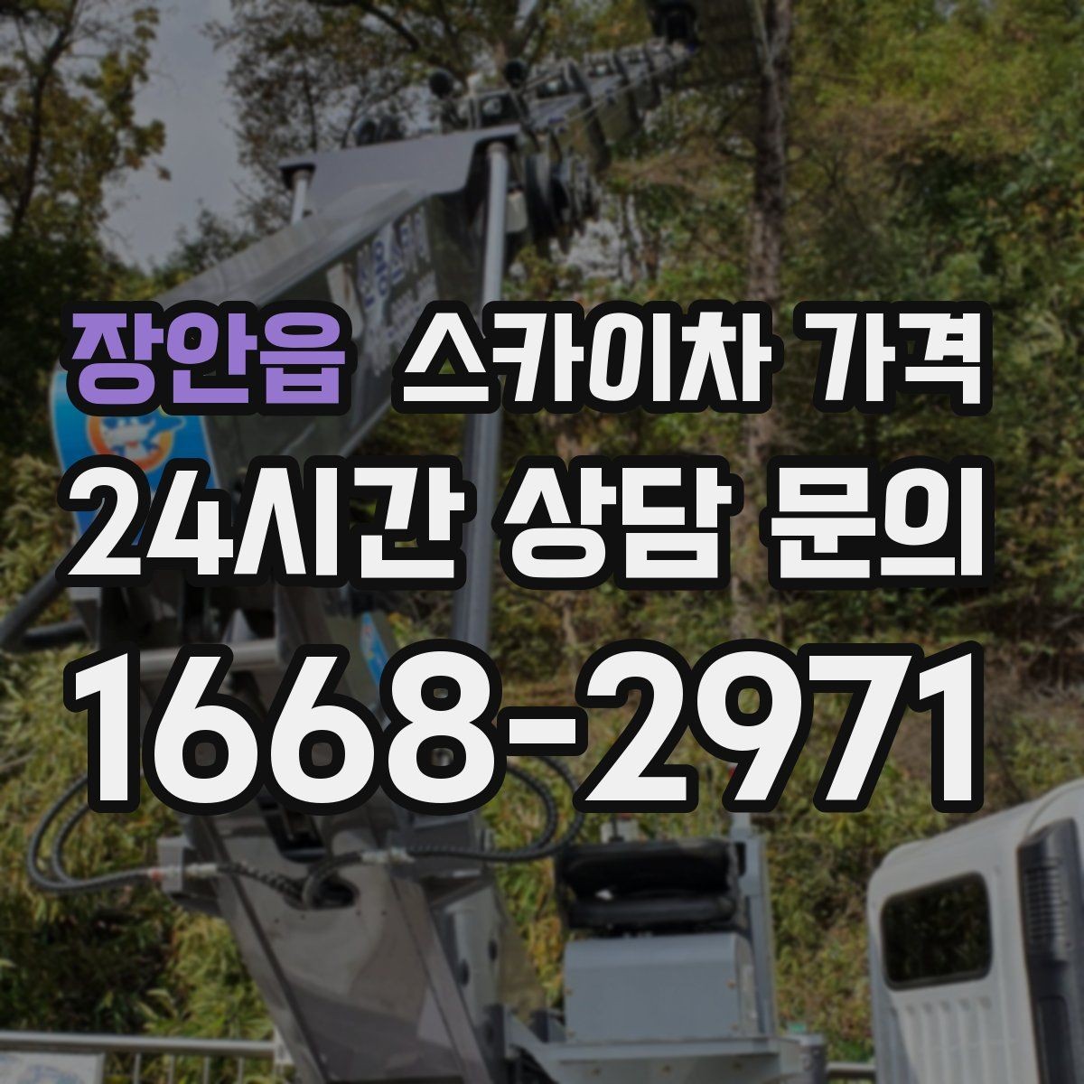 장안읍 스카이차 가격 정확한 견적을 받는 가장 현실적인 방법