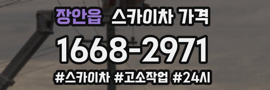 장안읍 스카이차 가격