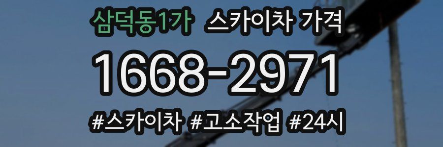 삼덕동1가 스카이차 가격