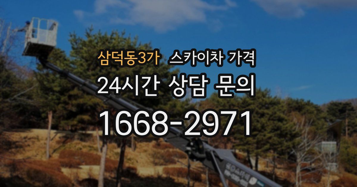 삼덕동3가 스카이차 가격