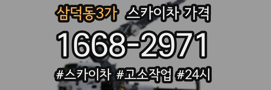 삼덕동3가 스카이차 가격