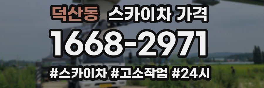 덕산동 스카이차 가격