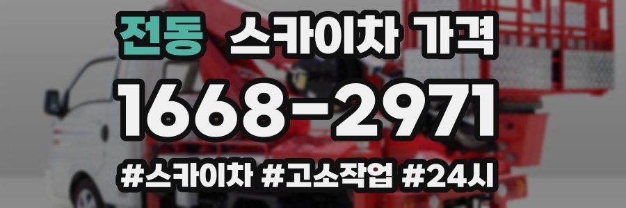 전동 스카이차 가격