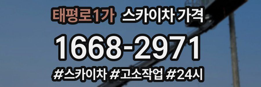 태평로1가 스카이차 가격