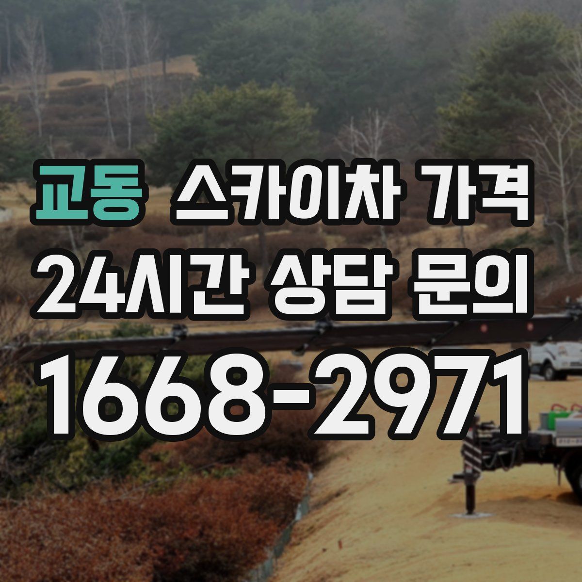 교동 스카이차 가격