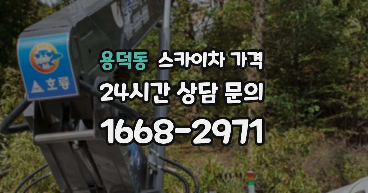 용덕동 스카이차 가격