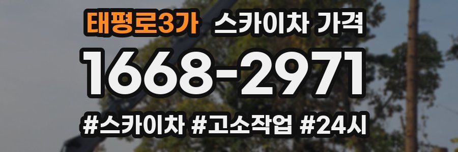 태평로3가 스카이차 가격