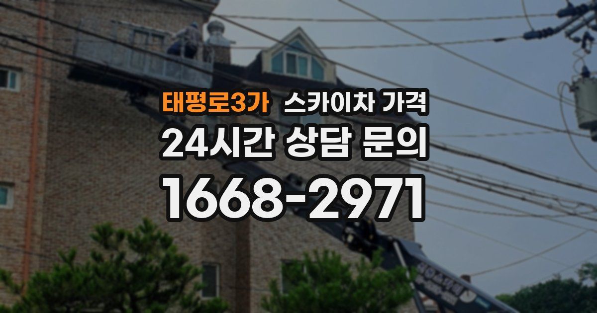 태평로3가 스카이차 가격