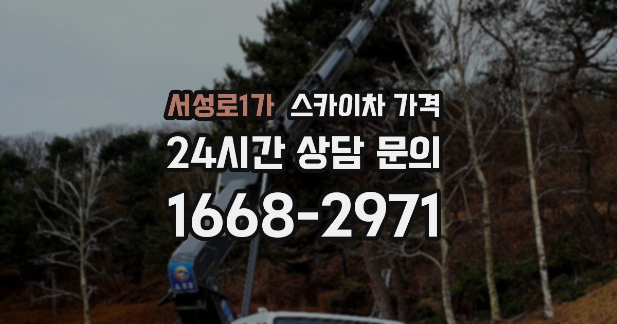 서성로1가 스카이차 가격