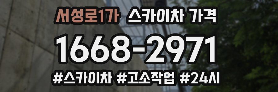 서성로1가 스카이차 가격