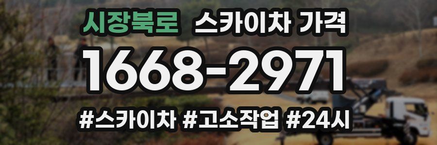 시장북로 스카이차 가격