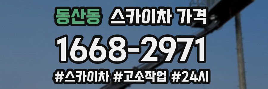 동산동 스카이차 가격