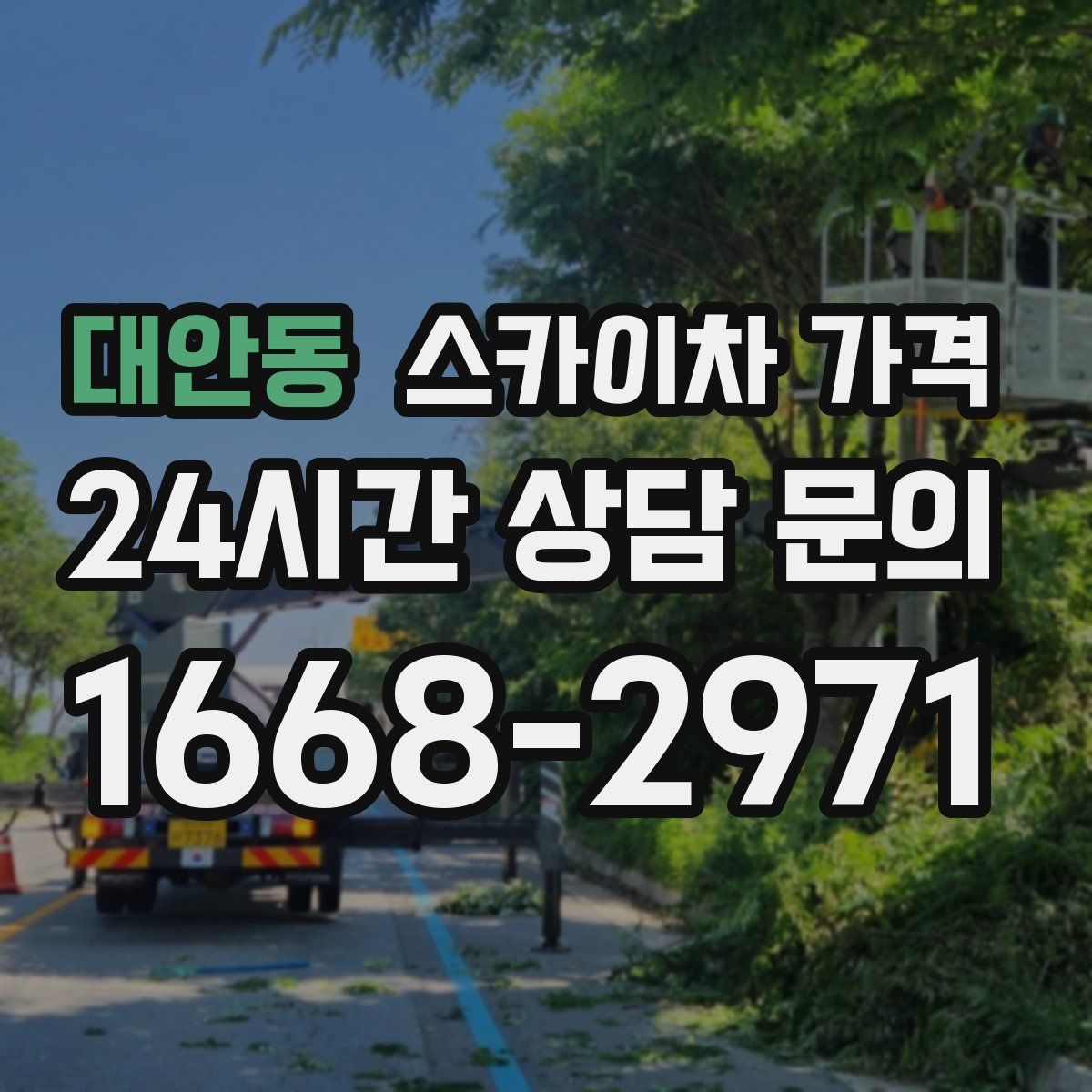 대안동 스카이차 가격