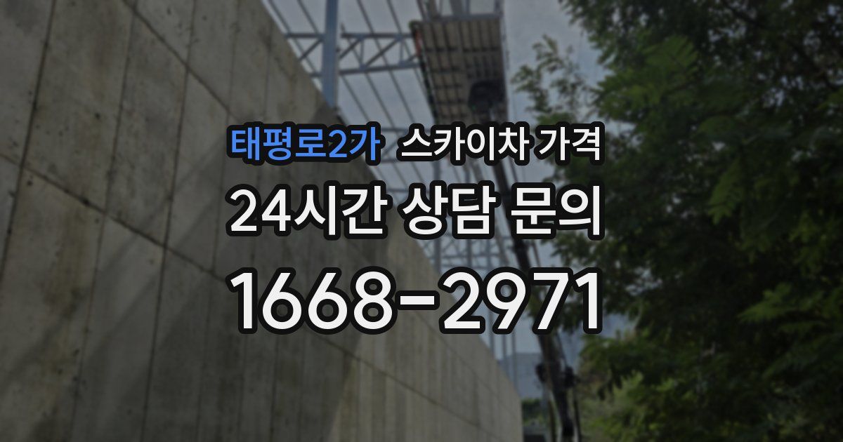 태평로2가 스카이차 가격