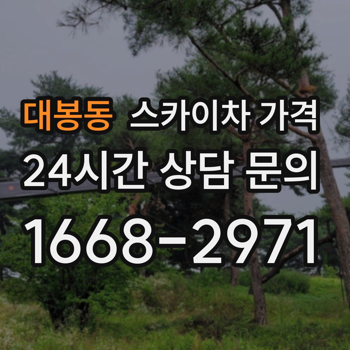 대봉동 스카이차 가격