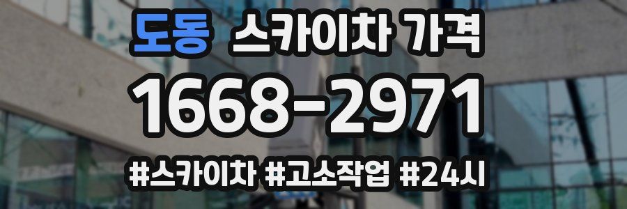 도동 스카이차 가격