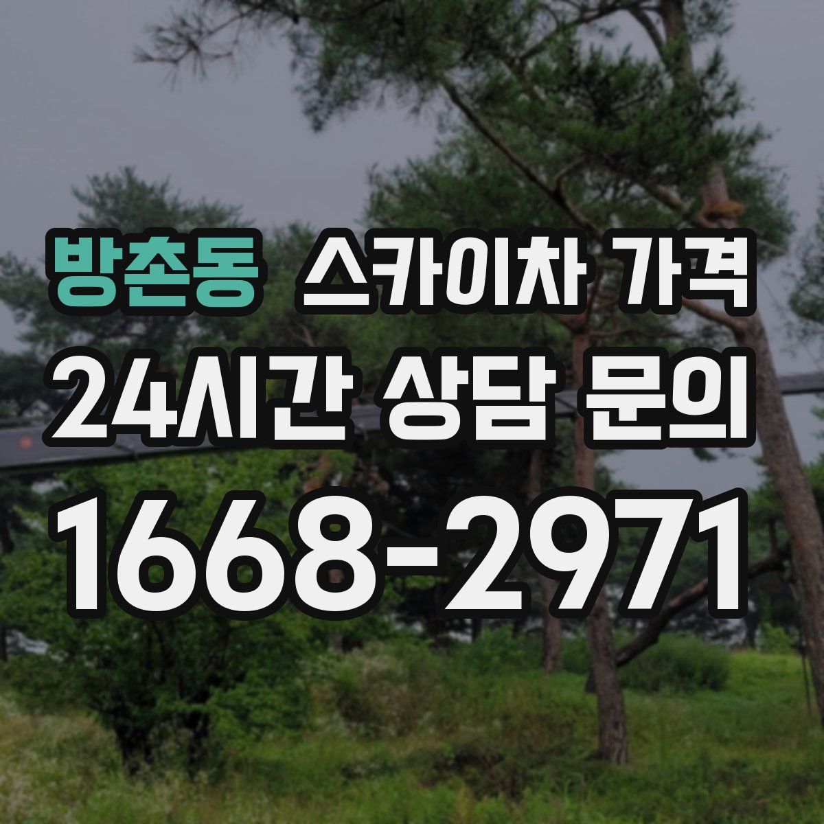 방촌동 스카이차 가격