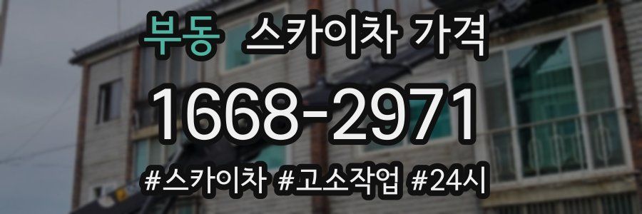 부동 스카이차 가격