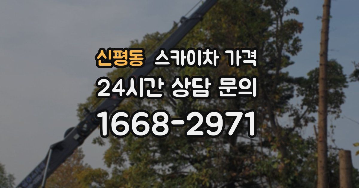 신평동 스카이차 가격
