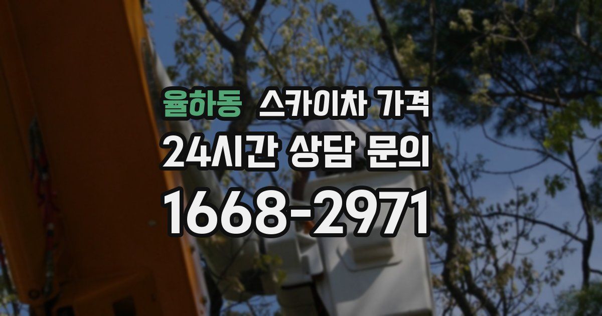 율하동 스카이차 가격