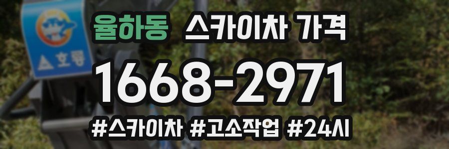 율하동 스카이차 가격