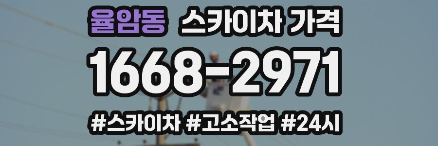 율암동 스카이차 가격