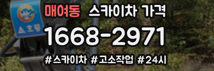 매여동 스카이차 가격