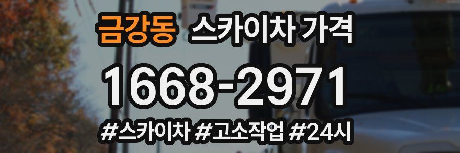 금강동 스카이차 가격