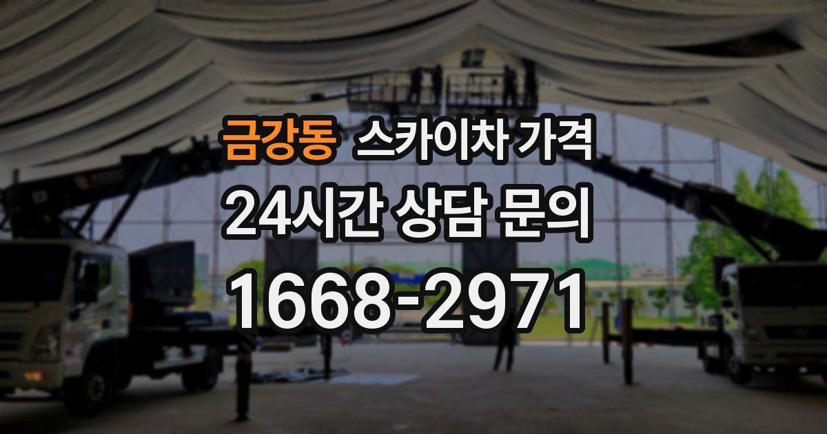 금강동 스카이차 가격