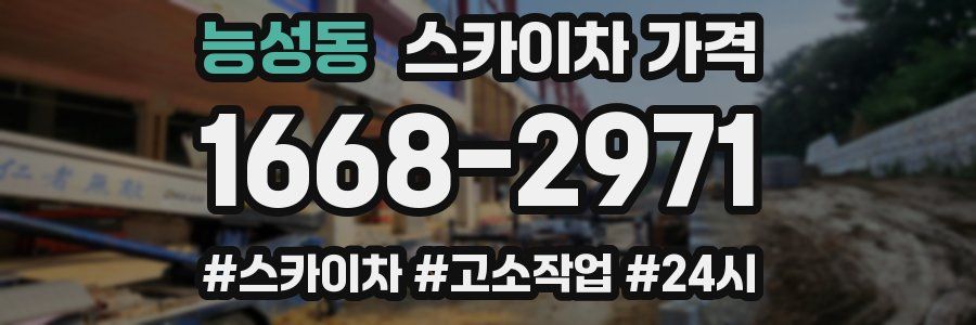 능성동 스카이차 가격