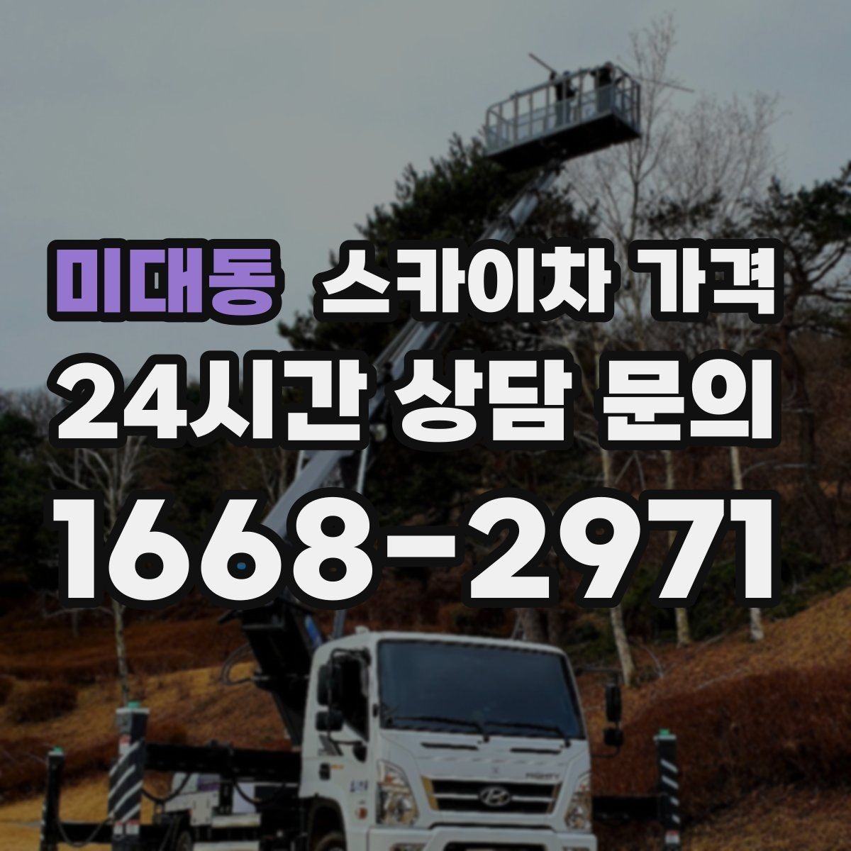 미대동 스카이차 가격 가지치기 작업은 바람이 변수인 이유