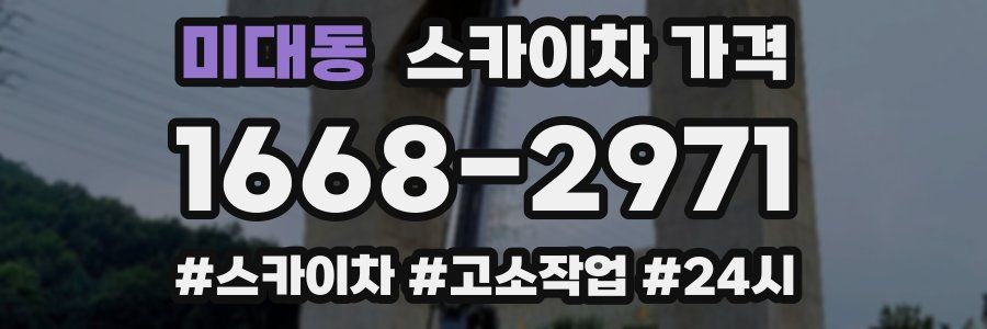 미대동 스카이차 가격