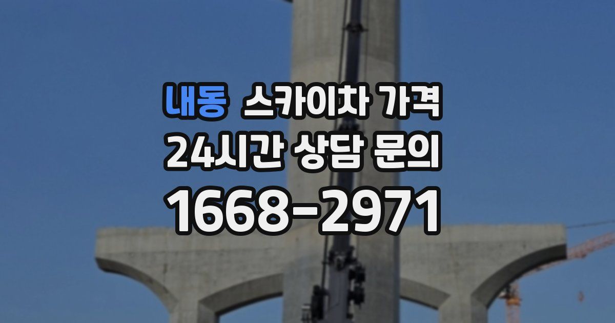 내동 스카이차 가격