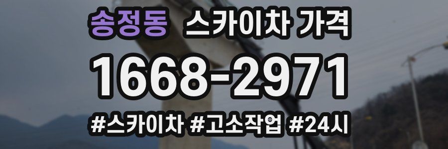 송정동 스카이차 가격