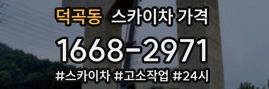 덕곡동 스카이차 가격