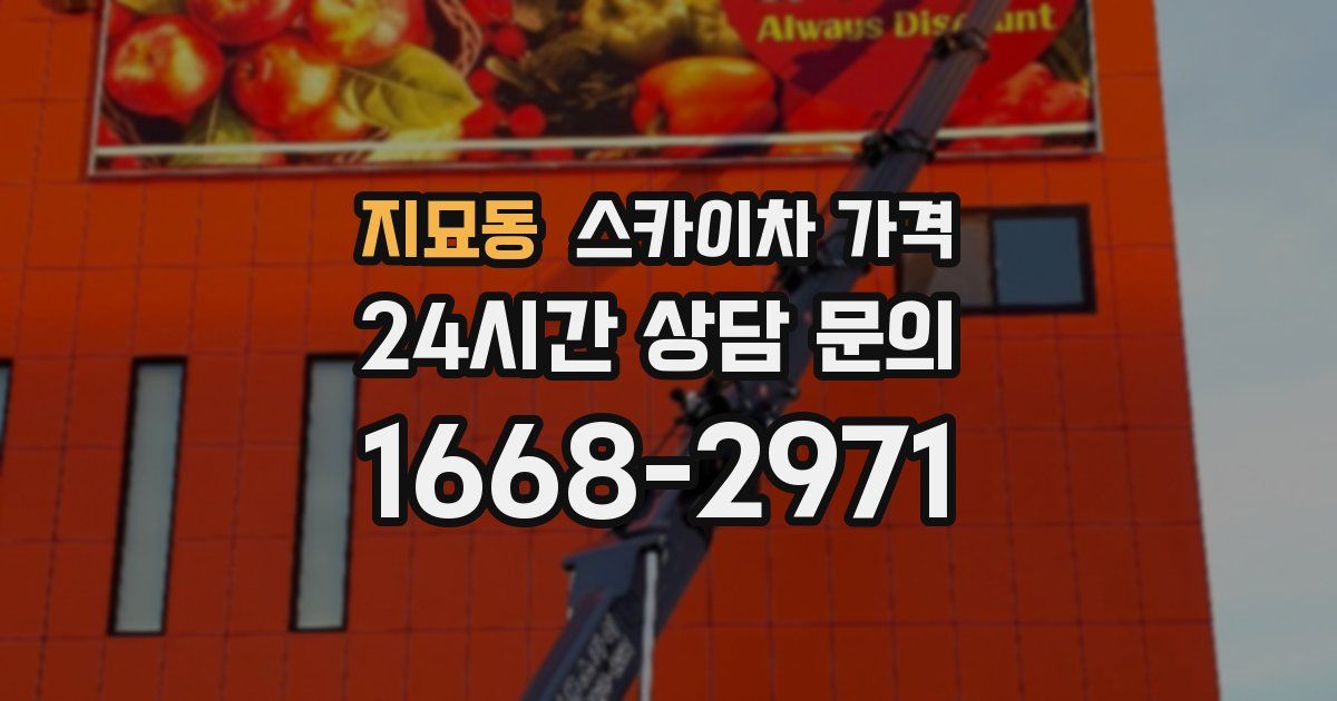 지묘동 스카이차 가격