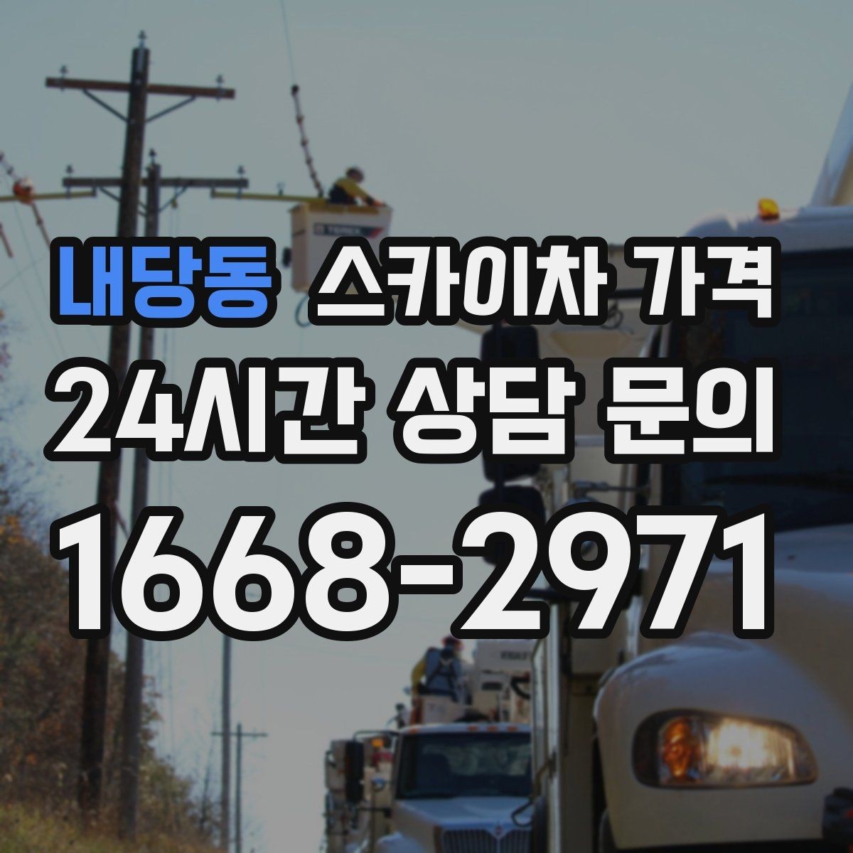 내당동 스카이차 가격 수목 전정 작업에서 확인할 항목
