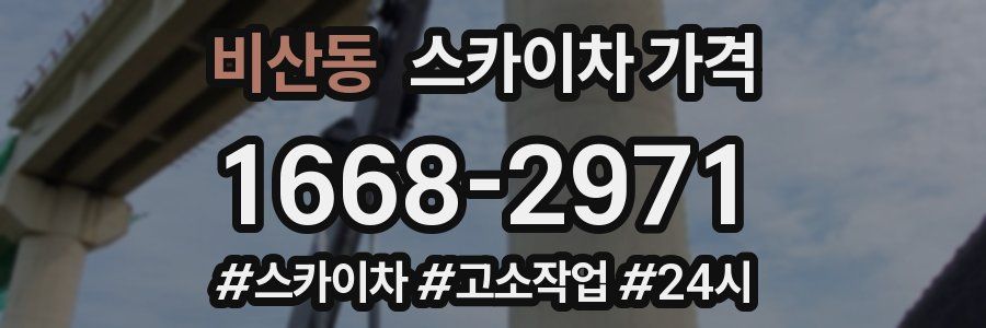 비산동 스카이차 가격