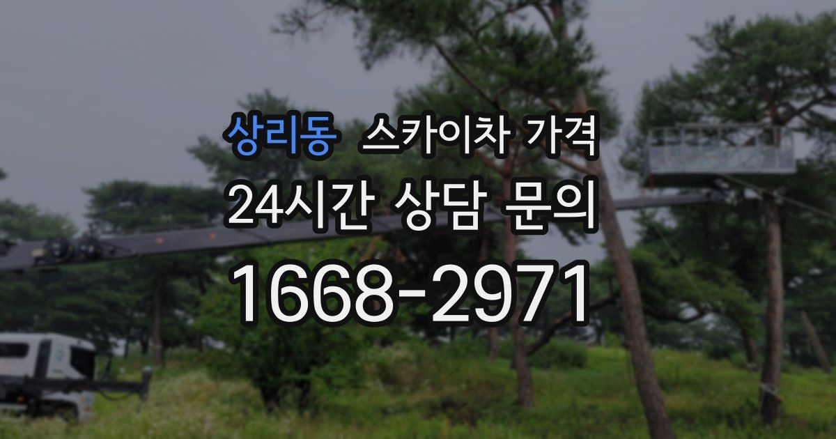 상리동 스카이차 가격