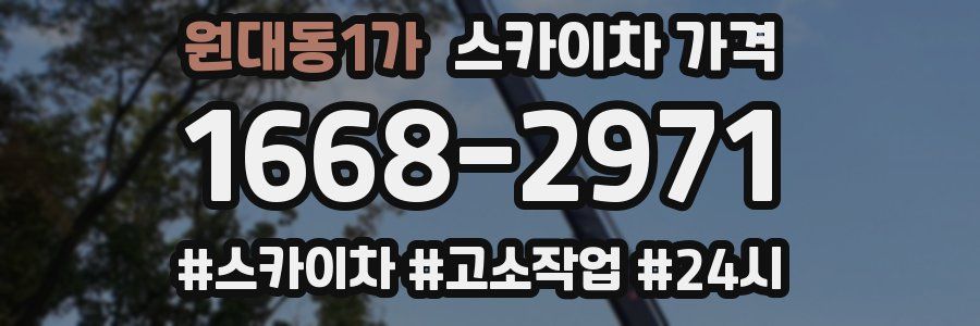 원대동1가 스카이차 가격