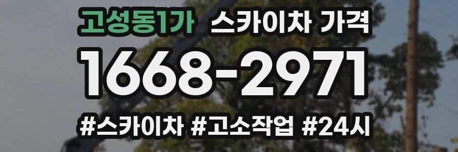 고성동1가 스카이차 가격