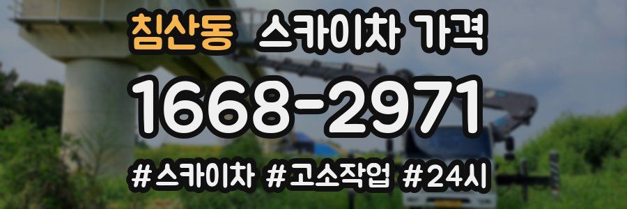 침산동 스카이차 가격