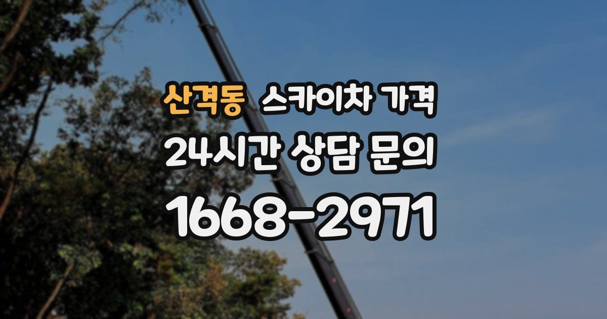 산격동 스카이차 가격