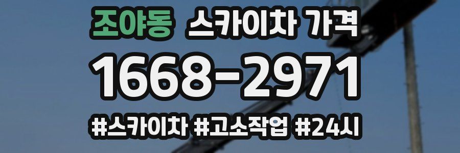 조야동 스카이차 가격